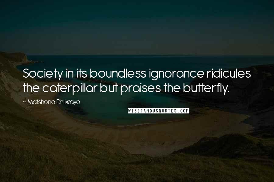 Matshona Dhliwayo Quotes: Society in its boundless ignorance ridicules the caterpillar but praises the butterfly.