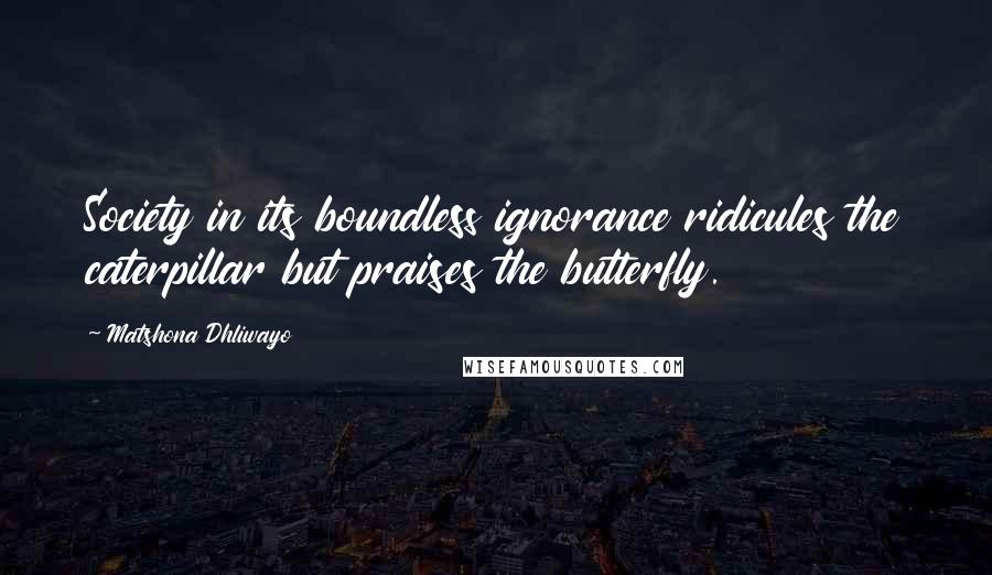 Matshona Dhliwayo Quotes: Society in its boundless ignorance ridicules the caterpillar but praises the butterfly.