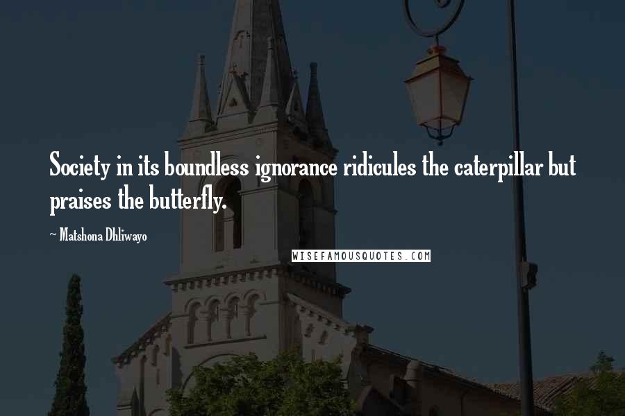 Matshona Dhliwayo Quotes: Society in its boundless ignorance ridicules the caterpillar but praises the butterfly.