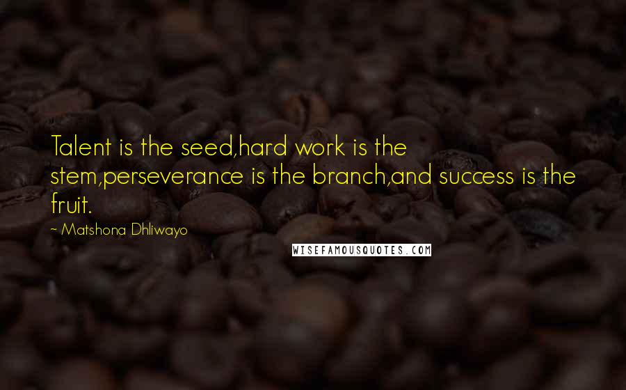 Matshona Dhliwayo Quotes: Talent is the seed,hard work is the stem,perseverance is the branch,and success is the fruit.