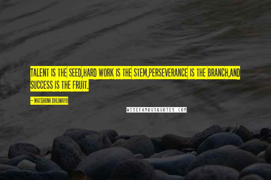 Matshona Dhliwayo Quotes: Talent is the seed,hard work is the stem,perseverance is the branch,and success is the fruit.