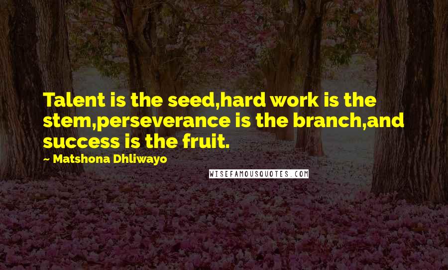 Matshona Dhliwayo Quotes: Talent is the seed,hard work is the stem,perseverance is the branch,and success is the fruit.