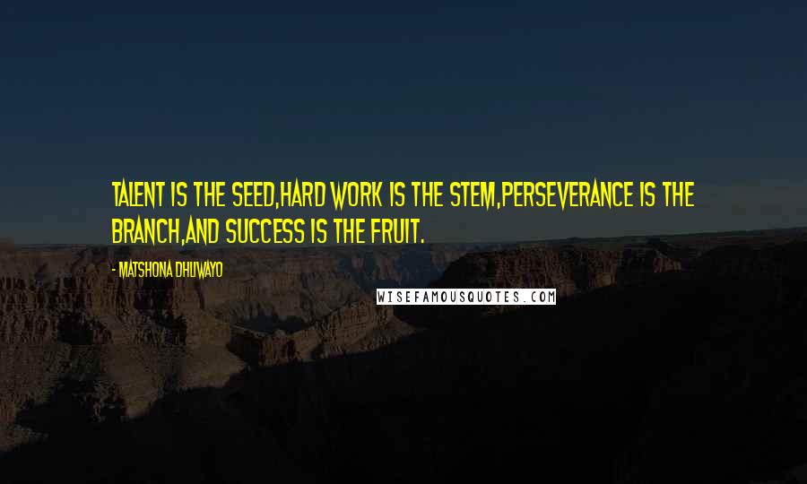 Matshona Dhliwayo Quotes: Talent is the seed,hard work is the stem,perseverance is the branch,and success is the fruit.