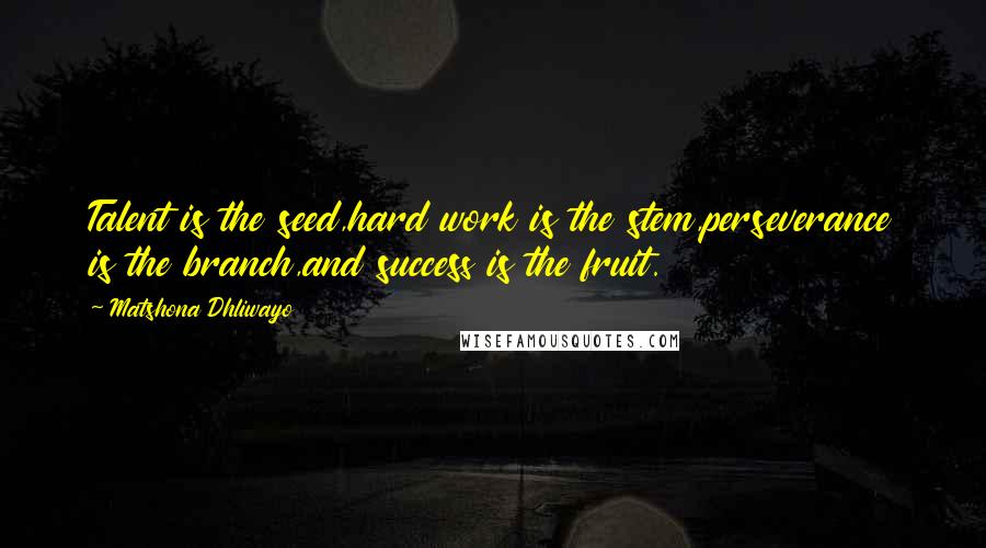 Matshona Dhliwayo Quotes: Talent is the seed,hard work is the stem,perseverance is the branch,and success is the fruit.