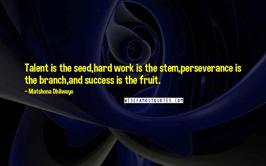 Matshona Dhliwayo Quotes: Talent is the seed,hard work is the stem,perseverance is the branch,and success is the fruit.