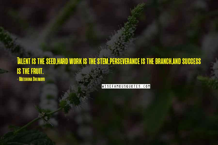 Matshona Dhliwayo Quotes: Talent is the seed,hard work is the stem,perseverance is the branch,and success is the fruit.