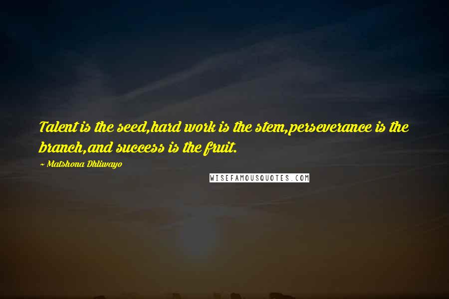 Matshona Dhliwayo Quotes: Talent is the seed,hard work is the stem,perseverance is the branch,and success is the fruit.