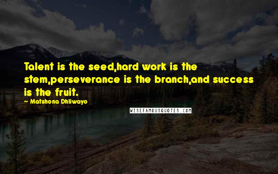 Matshona Dhliwayo Quotes: Talent is the seed,hard work is the stem,perseverance is the branch,and success is the fruit.