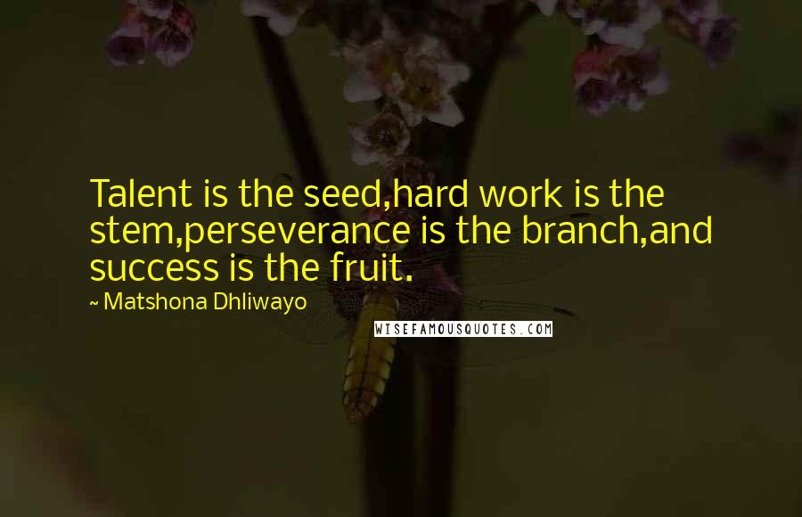 Matshona Dhliwayo Quotes: Talent is the seed,hard work is the stem,perseverance is the branch,and success is the fruit.