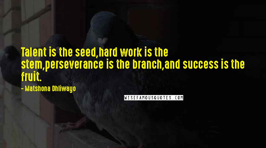 Matshona Dhliwayo Quotes: Talent is the seed,hard work is the stem,perseverance is the branch,and success is the fruit.