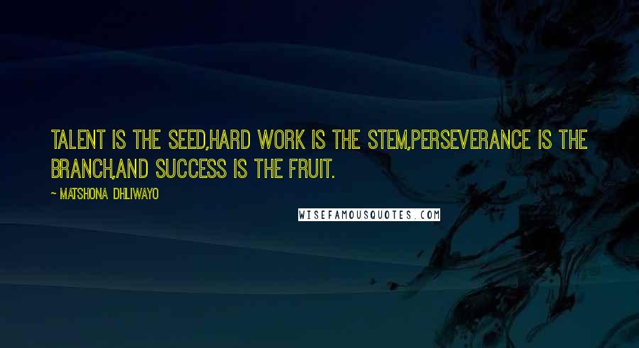 Matshona Dhliwayo Quotes: Talent is the seed,hard work is the stem,perseverance is the branch,and success is the fruit.