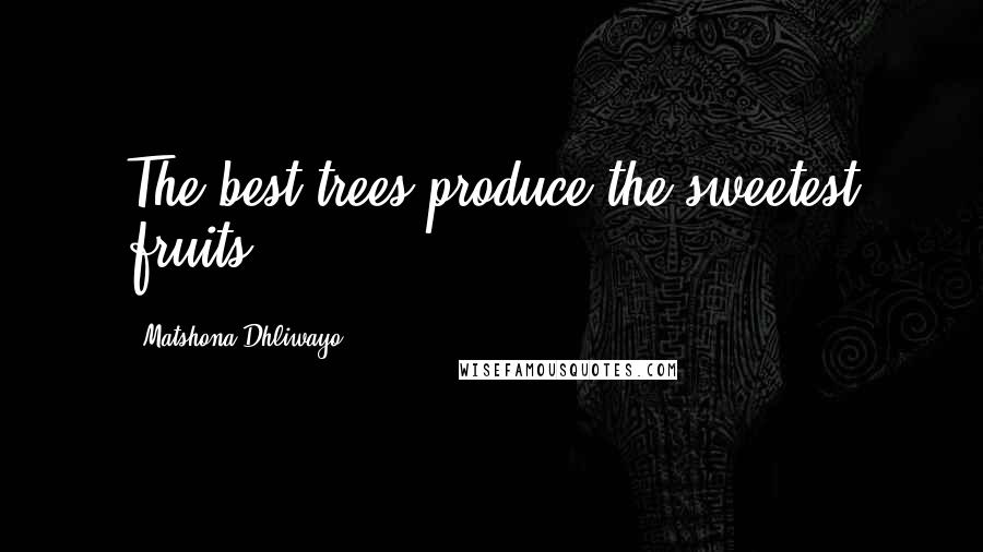 Matshona Dhliwayo Quotes: The best trees produce the sweetest fruits.