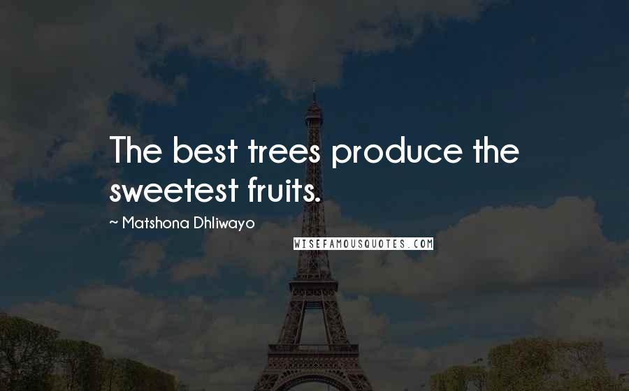 Matshona Dhliwayo Quotes: The best trees produce the sweetest fruits.