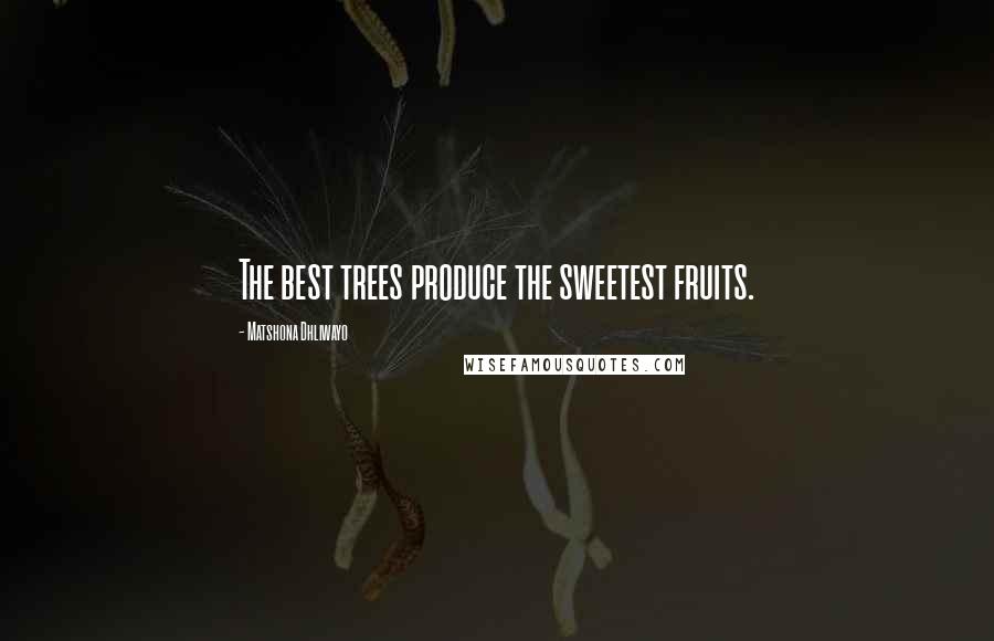 Matshona Dhliwayo Quotes: The best trees produce the sweetest fruits.