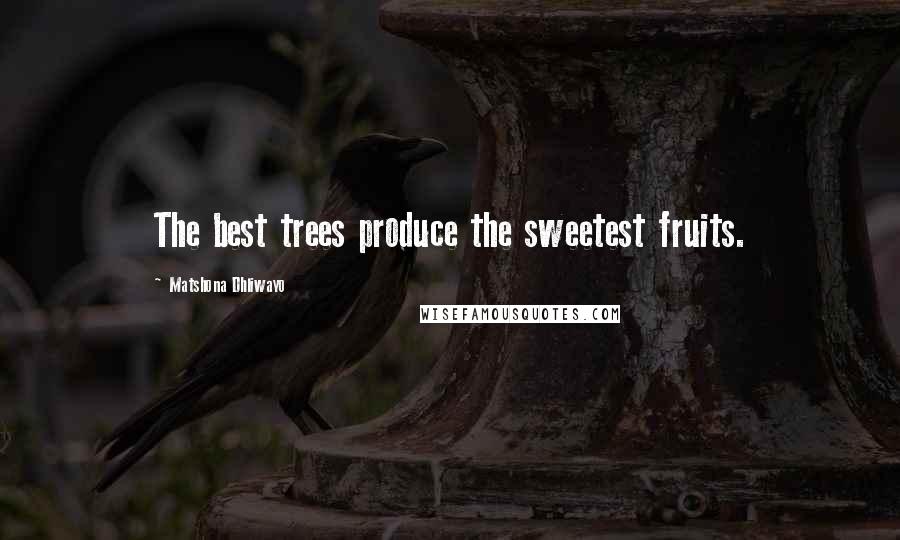 Matshona Dhliwayo Quotes: The best trees produce the sweetest fruits.