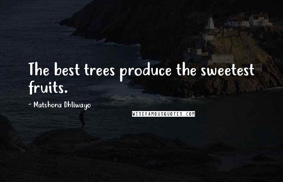 Matshona Dhliwayo Quotes: The best trees produce the sweetest fruits.