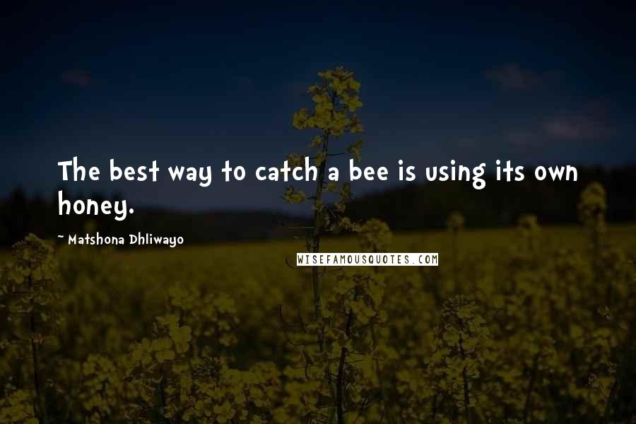 Matshona Dhliwayo Quotes: The best way to catch a bee is using its own honey.