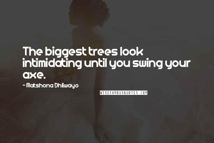 Matshona Dhliwayo Quotes: The biggest trees look intimidating until you swing your axe.