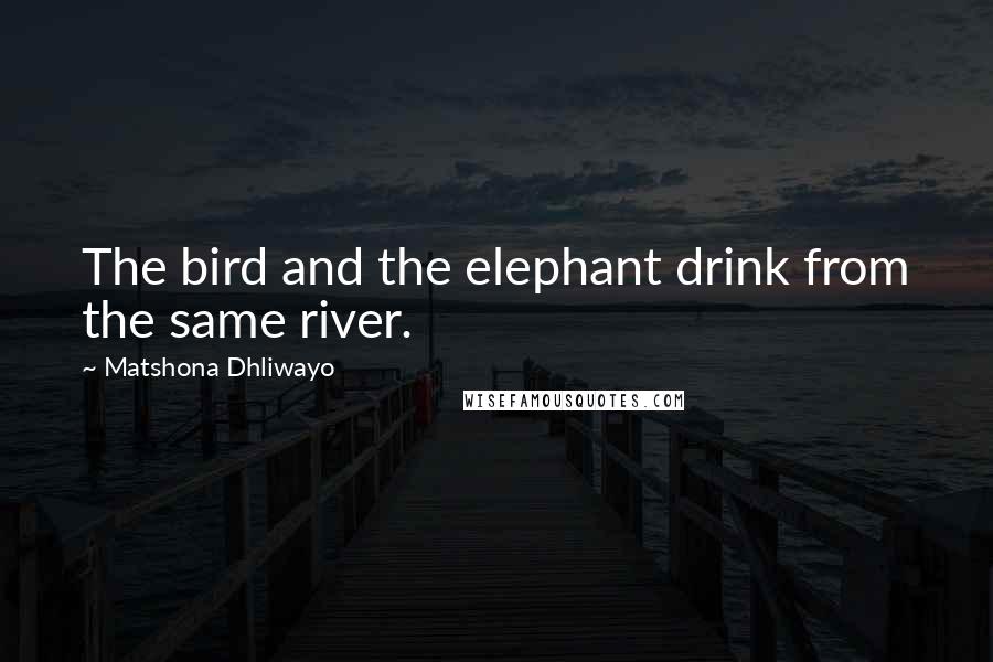 Matshona Dhliwayo Quotes: The bird and the elephant drink from the same river.