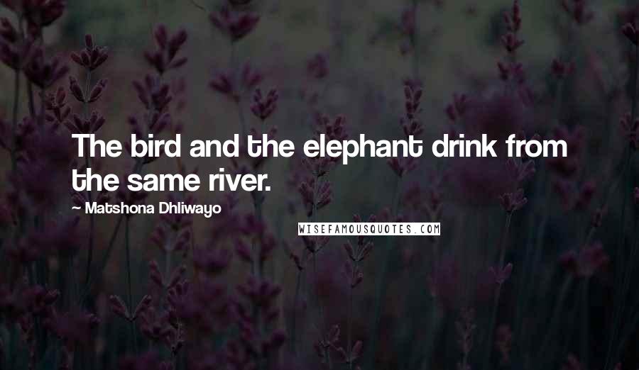 Matshona Dhliwayo Quotes: The bird and the elephant drink from the same river.