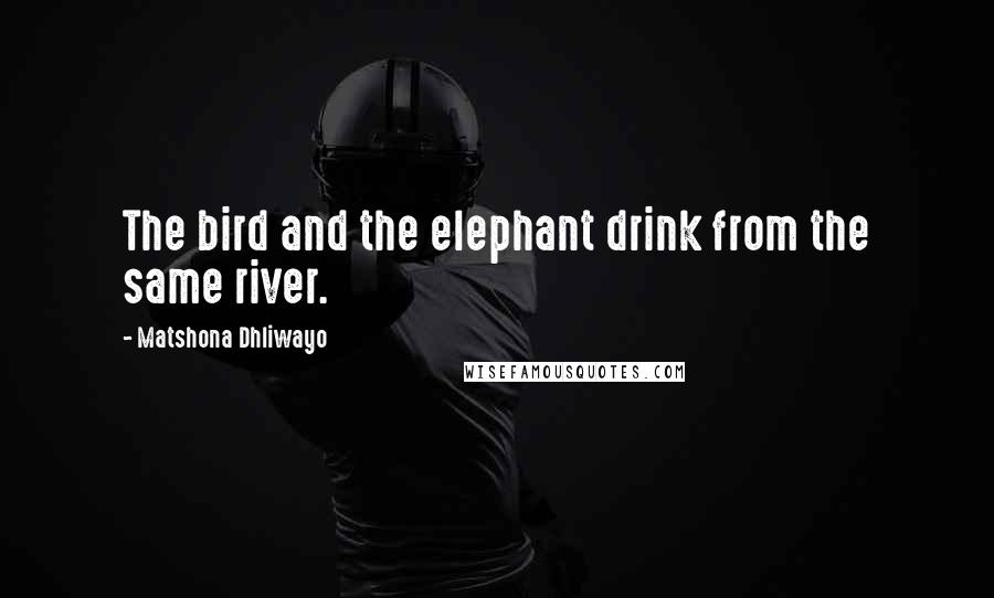 Matshona Dhliwayo Quotes: The bird and the elephant drink from the same river.