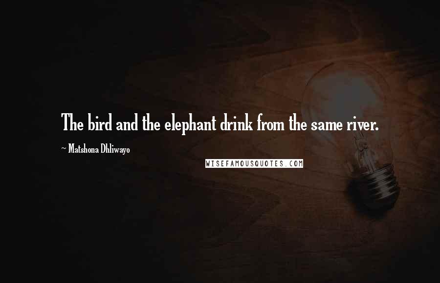 Matshona Dhliwayo Quotes: The bird and the elephant drink from the same river.
