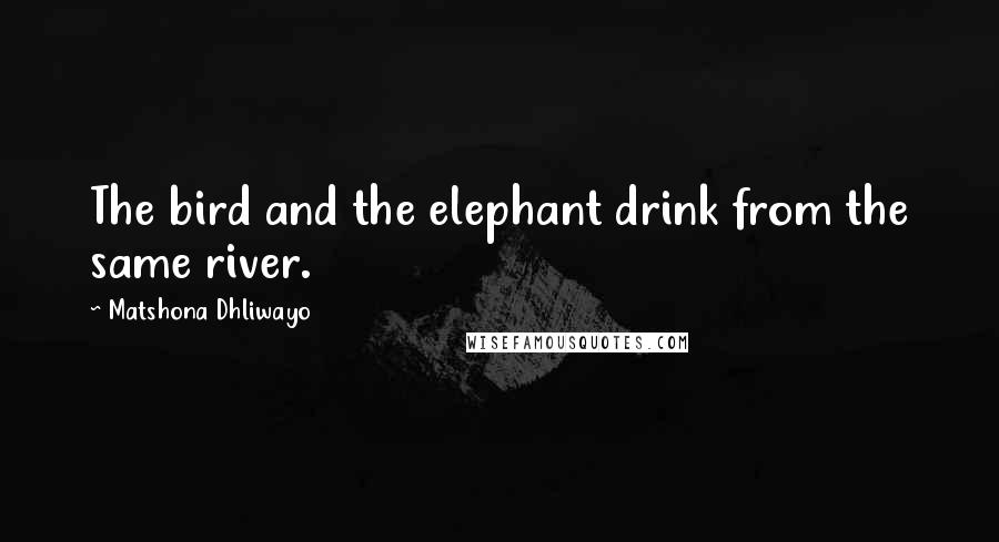 Matshona Dhliwayo Quotes: The bird and the elephant drink from the same river.