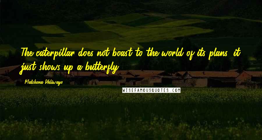 Matshona Dhliwayo Quotes: The caterpillar does not boast to the world of its plans; it just shows up a butterfly.
