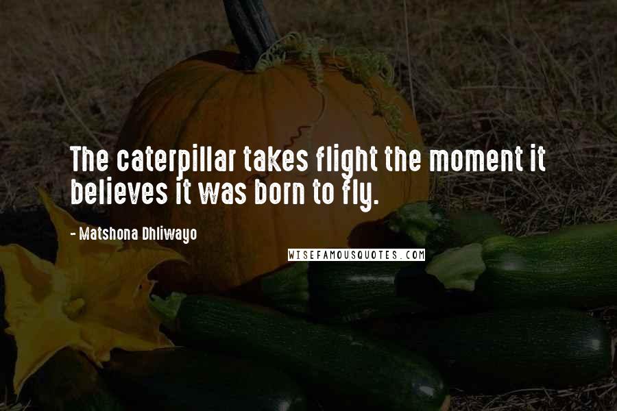 Matshona Dhliwayo Quotes: The caterpillar takes flight the moment it believes it was born to fly.