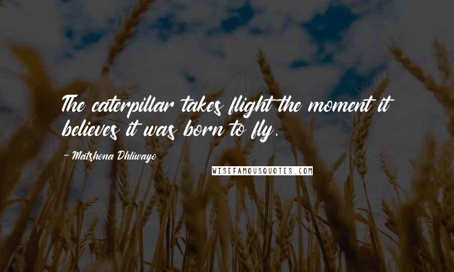 Matshona Dhliwayo Quotes: The caterpillar takes flight the moment it believes it was born to fly.
