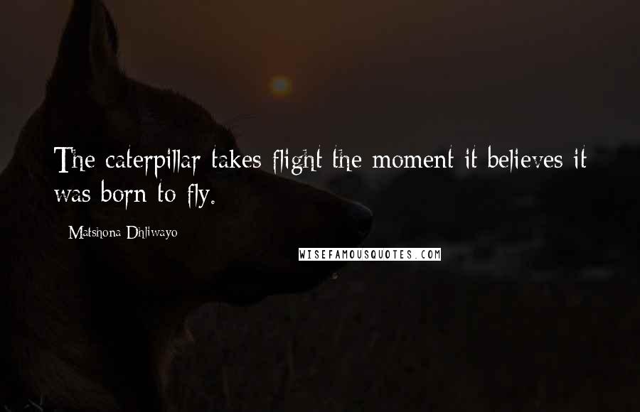 Matshona Dhliwayo Quotes: The caterpillar takes flight the moment it believes it was born to fly.