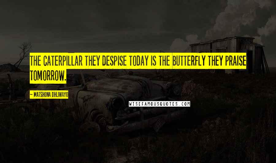 Matshona Dhliwayo Quotes: The caterpillar they despise today is the butterfly they praise tomorrow.