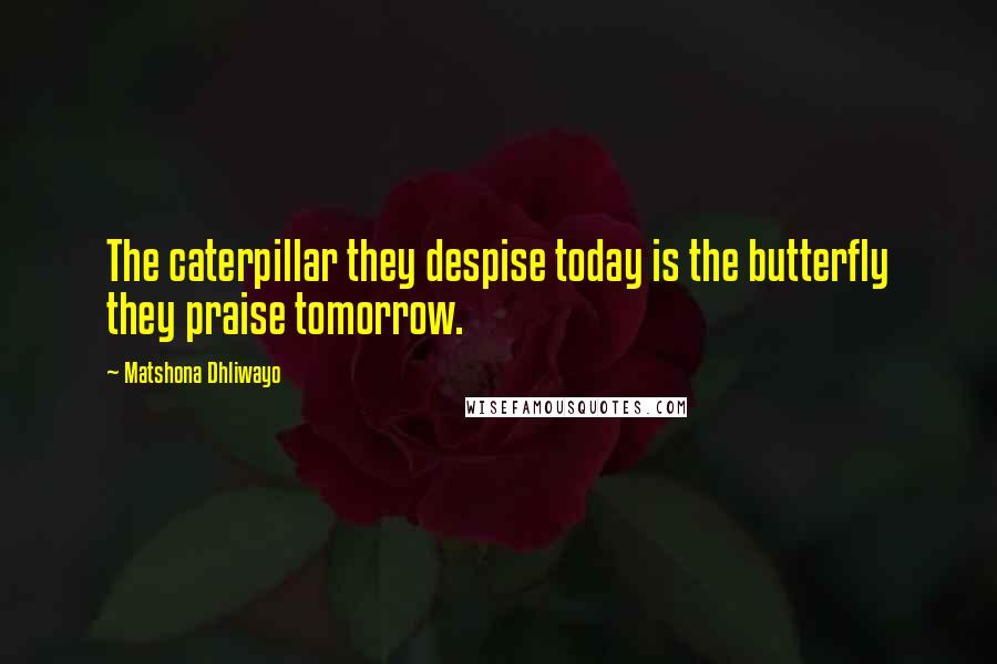 Matshona Dhliwayo Quotes: The caterpillar they despise today is the butterfly they praise tomorrow.