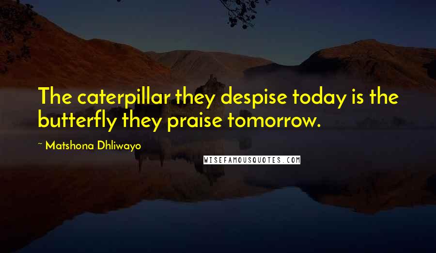 Matshona Dhliwayo Quotes: The caterpillar they despise today is the butterfly they praise tomorrow.