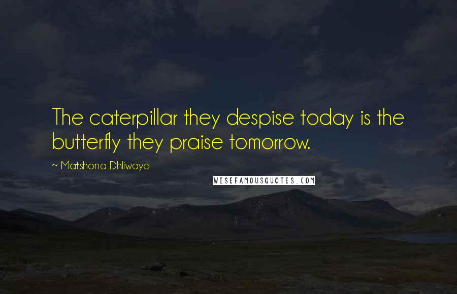 Matshona Dhliwayo Quotes: The caterpillar they despise today is the butterfly they praise tomorrow.