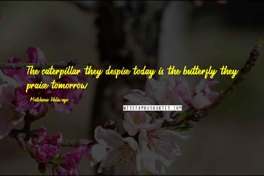 Matshona Dhliwayo Quotes: The caterpillar they despise today is the butterfly they praise tomorrow.