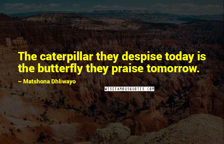 Matshona Dhliwayo Quotes: The caterpillar they despise today is the butterfly they praise tomorrow.