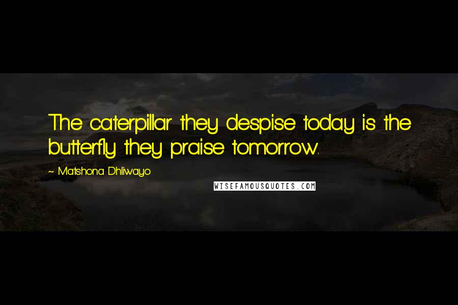 Matshona Dhliwayo Quotes: The caterpillar they despise today is the butterfly they praise tomorrow.