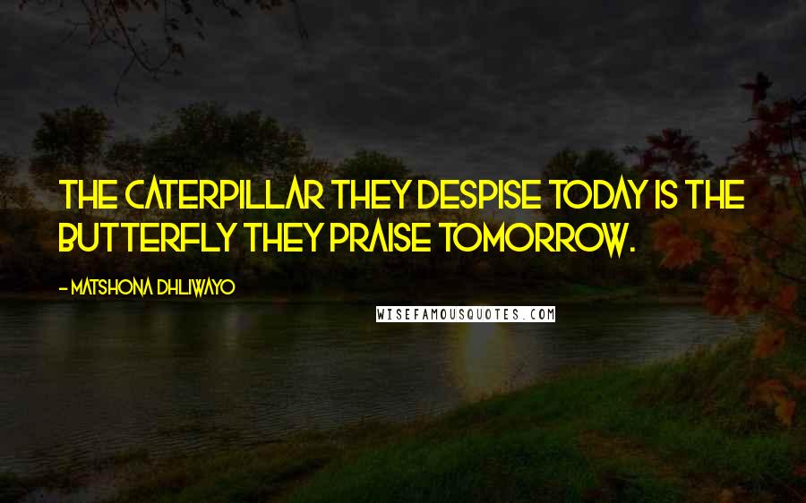 Matshona Dhliwayo Quotes: The caterpillar they despise today is the butterfly they praise tomorrow.