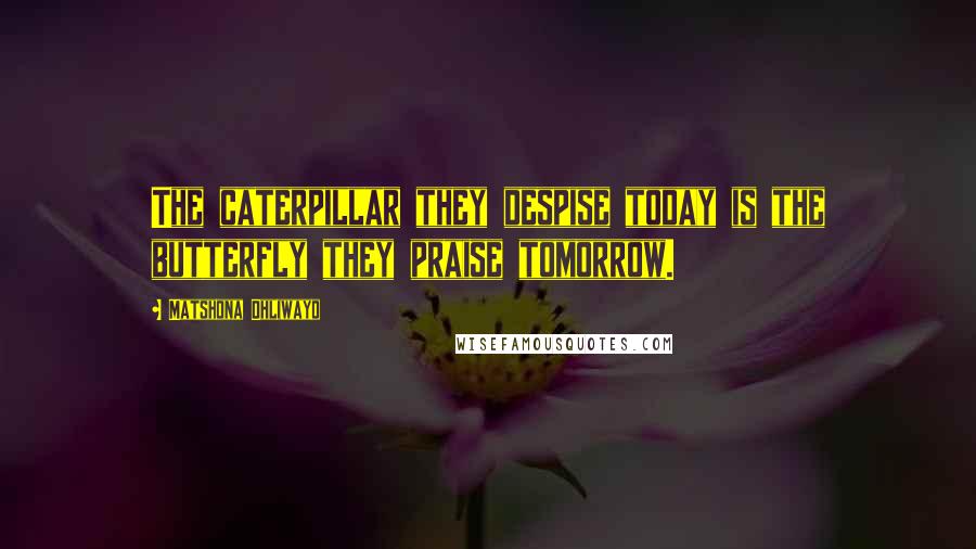 Matshona Dhliwayo Quotes: The caterpillar they despise today is the butterfly they praise tomorrow.