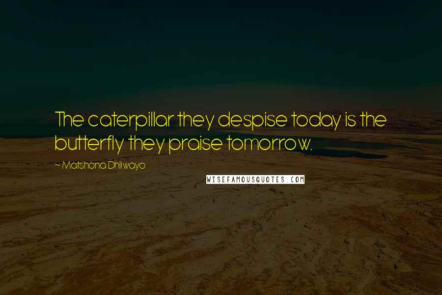 Matshona Dhliwayo Quotes: The caterpillar they despise today is the butterfly they praise tomorrow.