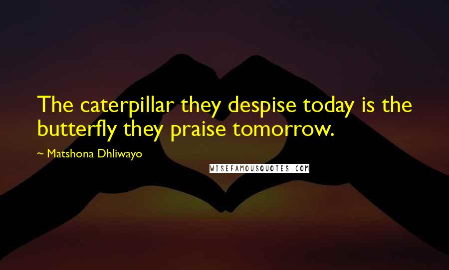 Matshona Dhliwayo Quotes: The caterpillar they despise today is the butterfly they praise tomorrow.