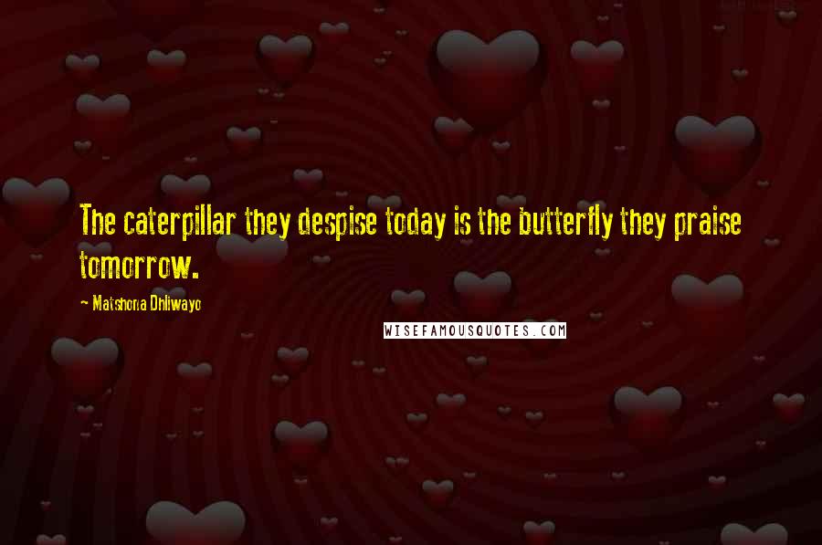 Matshona Dhliwayo Quotes: The caterpillar they despise today is the butterfly they praise tomorrow.