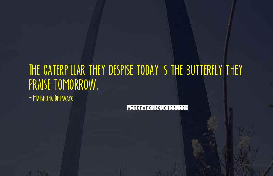 Matshona Dhliwayo Quotes: The caterpillar they despise today is the butterfly they praise tomorrow.