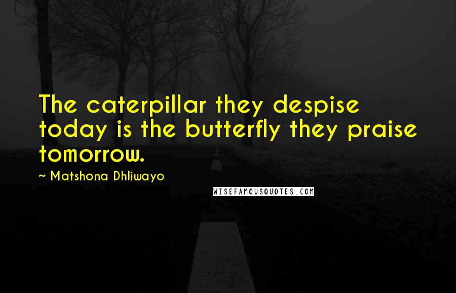 Matshona Dhliwayo Quotes: The caterpillar they despise today is the butterfly they praise tomorrow.