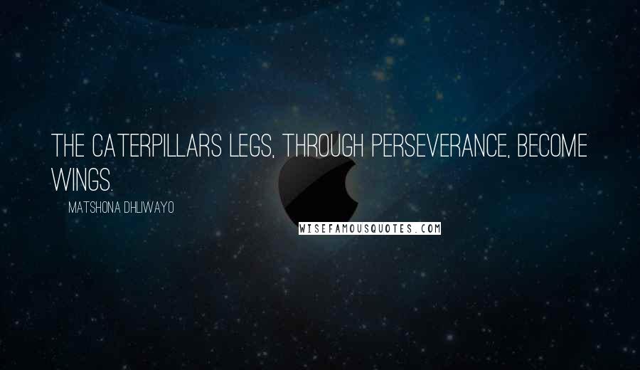 Matshona Dhliwayo Quotes: The caterpillars legs, through perseverance, become wings.