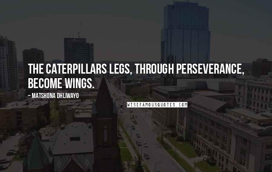 Matshona Dhliwayo Quotes: The caterpillars legs, through perseverance, become wings.