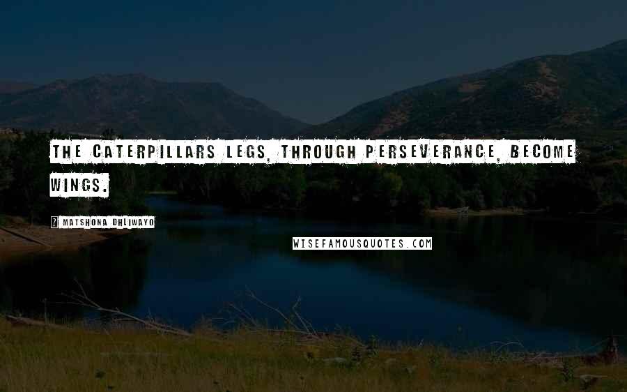 Matshona Dhliwayo Quotes: The caterpillars legs, through perseverance, become wings.