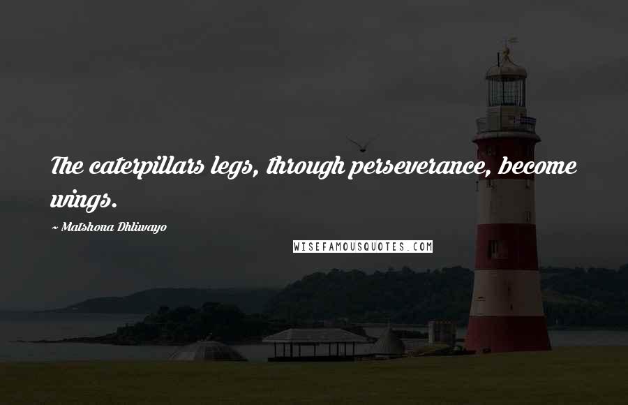 Matshona Dhliwayo Quotes: The caterpillars legs, through perseverance, become wings.