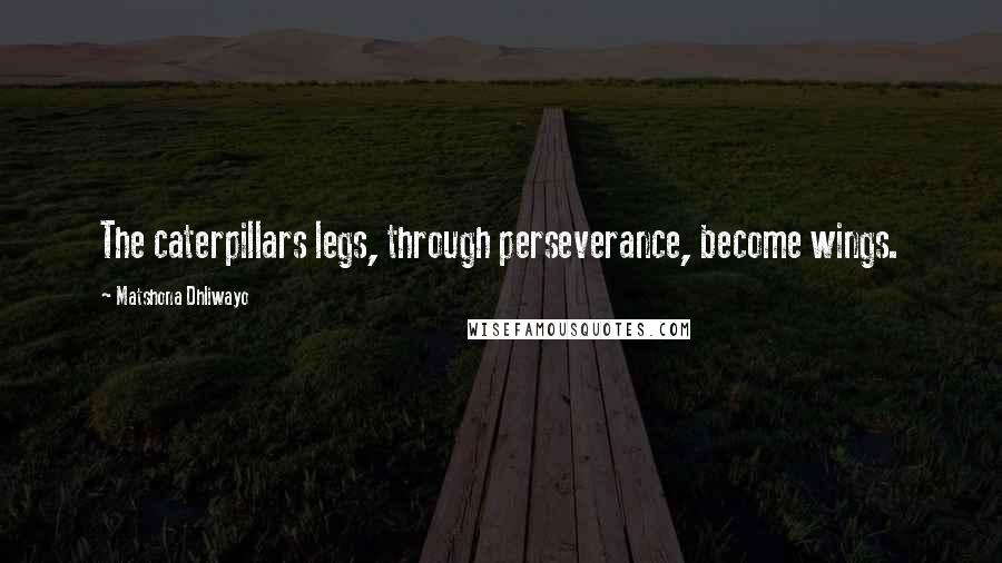 Matshona Dhliwayo Quotes: The caterpillars legs, through perseverance, become wings.